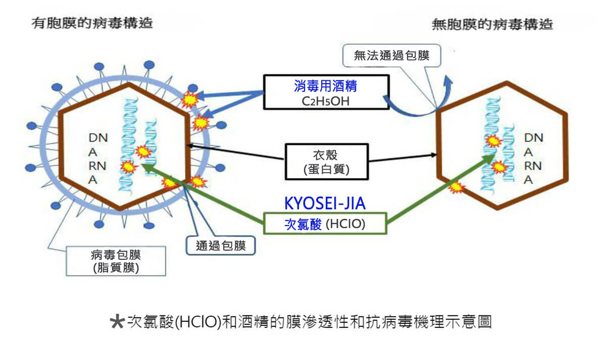 次氯酸水和酒精對抗病毒比較