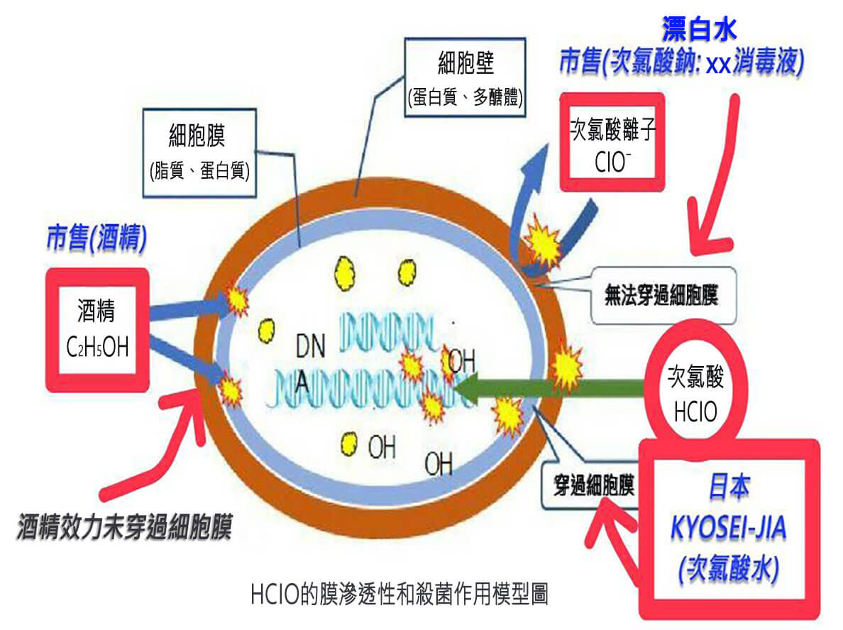 KYOSEI-JIA穿透細胞膜滲透殺菌